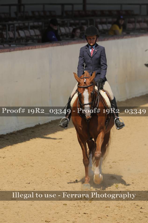 Proof 19R2_03349