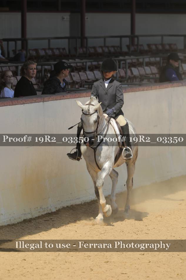 Proof 19R2_03350