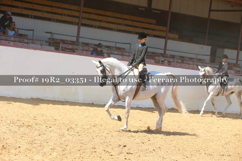 Proof 19R2_03351