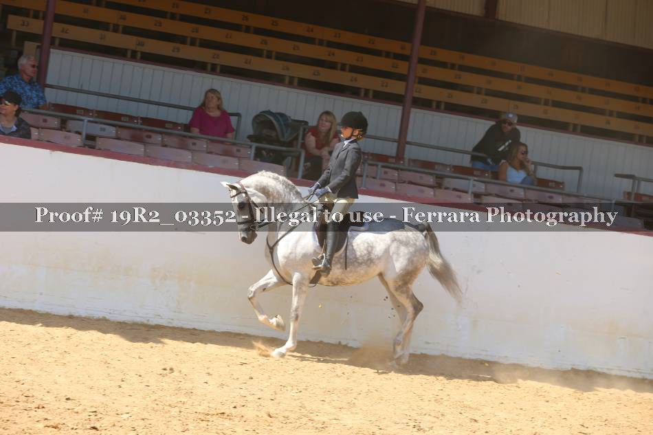 Proof 19R2_03352