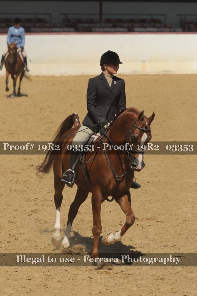 Proof 19R2_03353