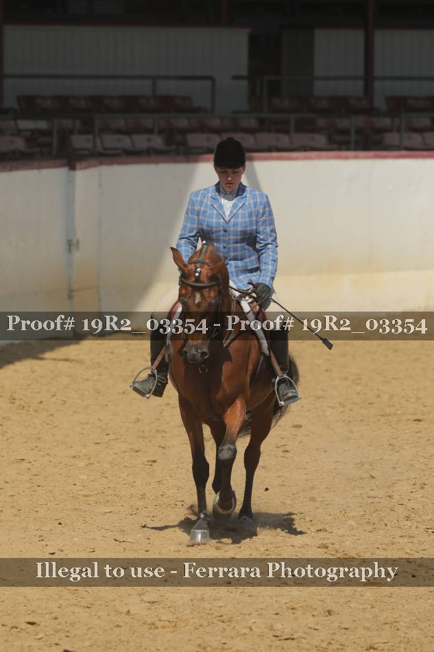 Proof 19R2_03354