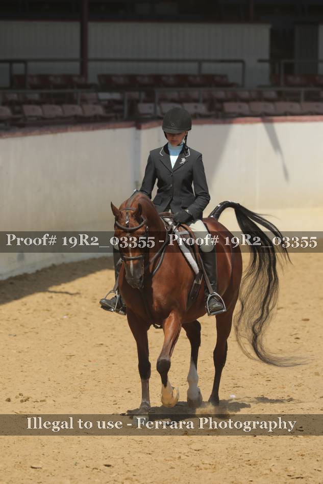 Proof 19R2_03355