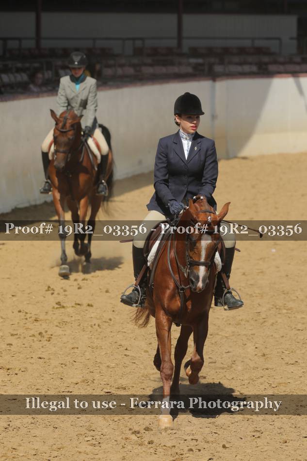 Proof 19R2_03356