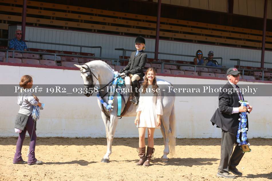 Proof 19R2_03358