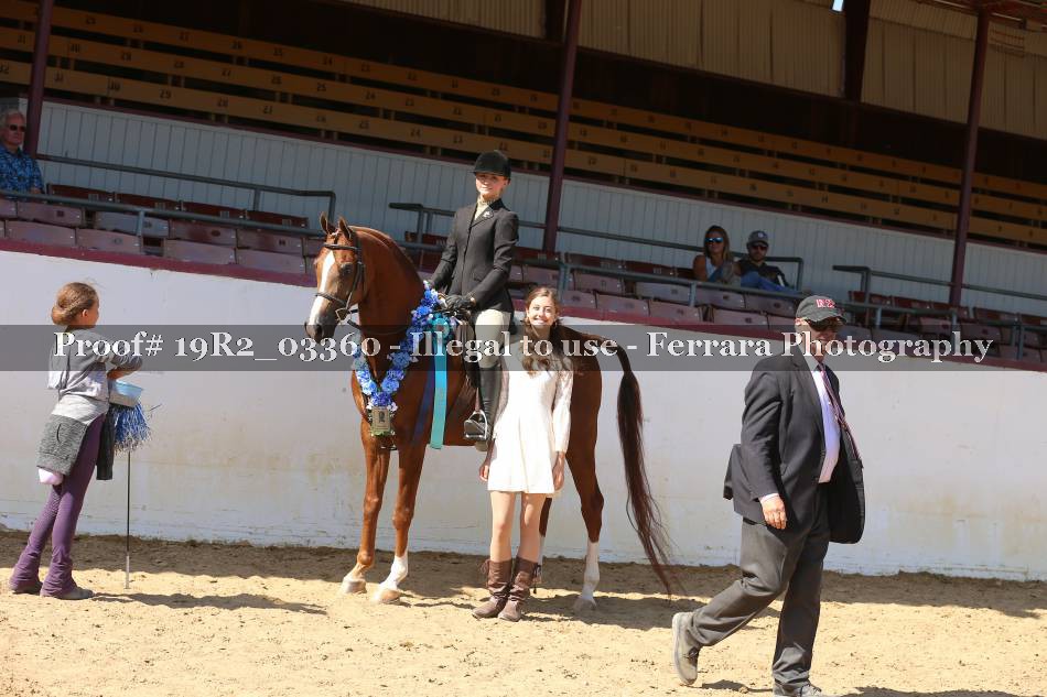Proof 19R2_03360
