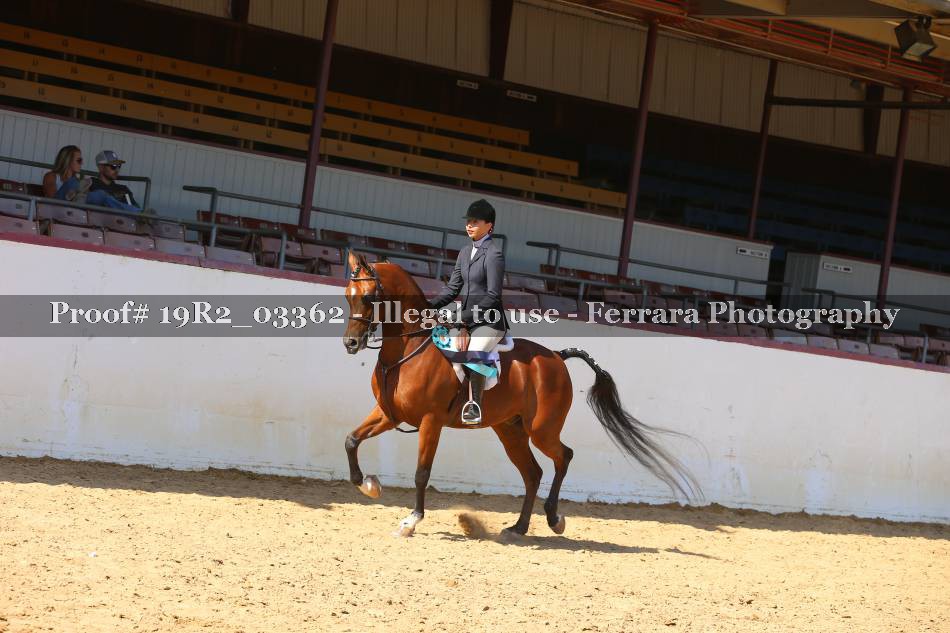 Proof 19R2_03362