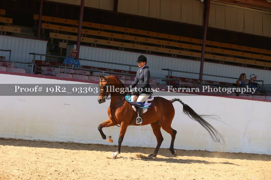 Proof 19R2_03363