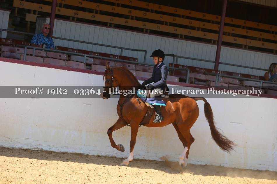 Proof 19R2_03364