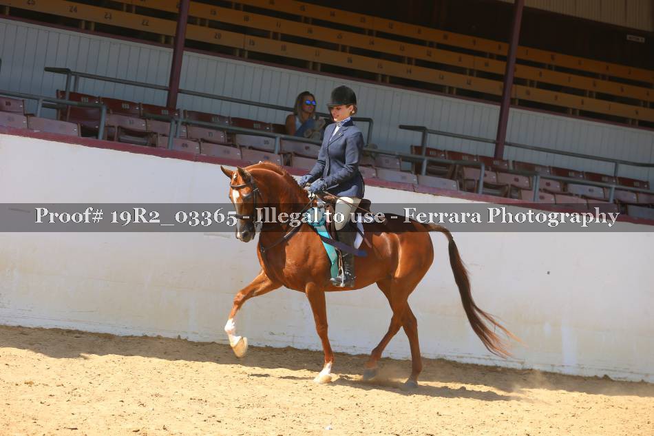 Proof 19R2_03365