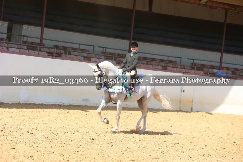 Proof 19R2_03366
