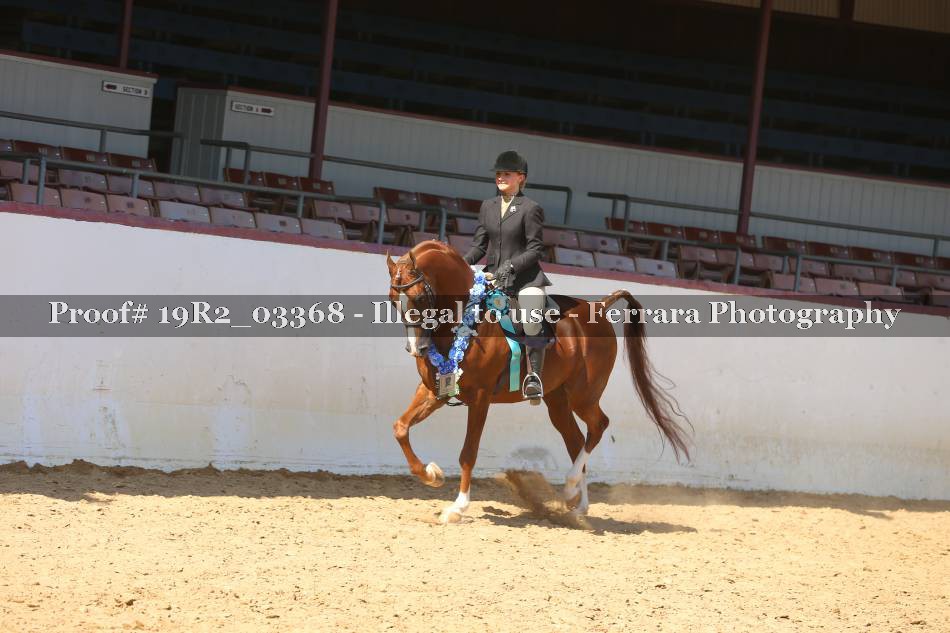 Proof 19R2_03368