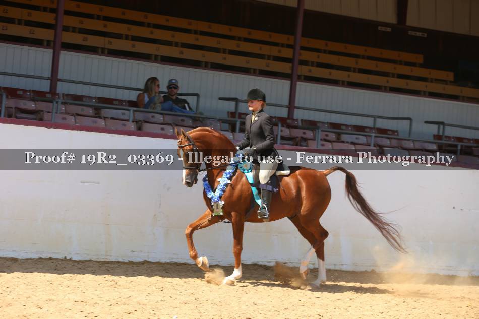 Proof 19R2_03369