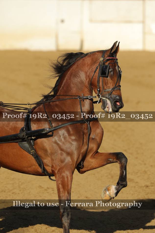 Proof 19R2_03452