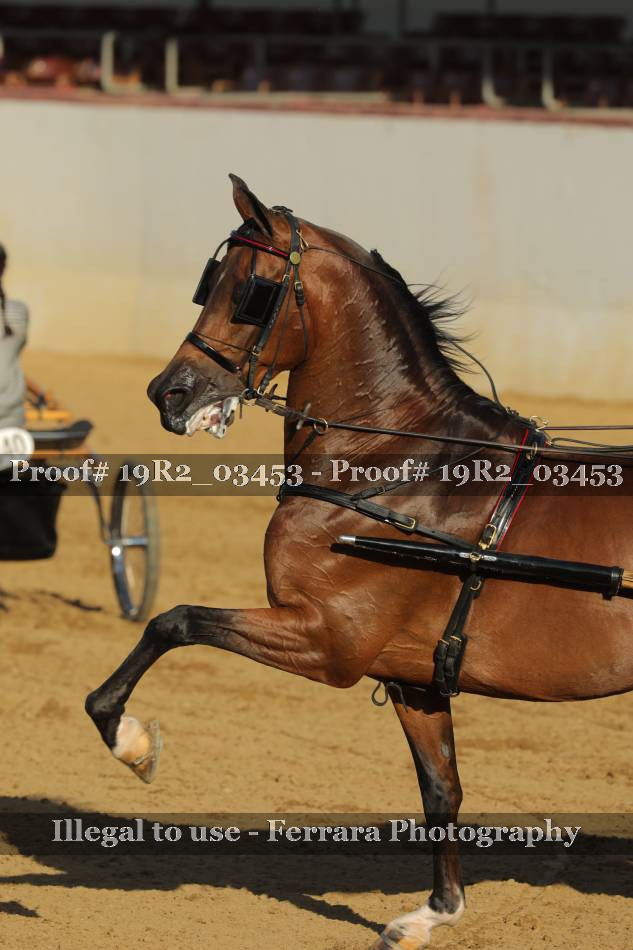 Proof 19R2_03453