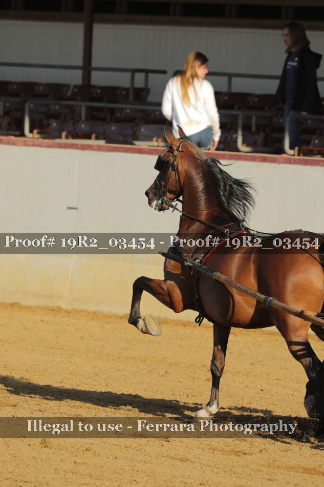 Proof 19R2_03454