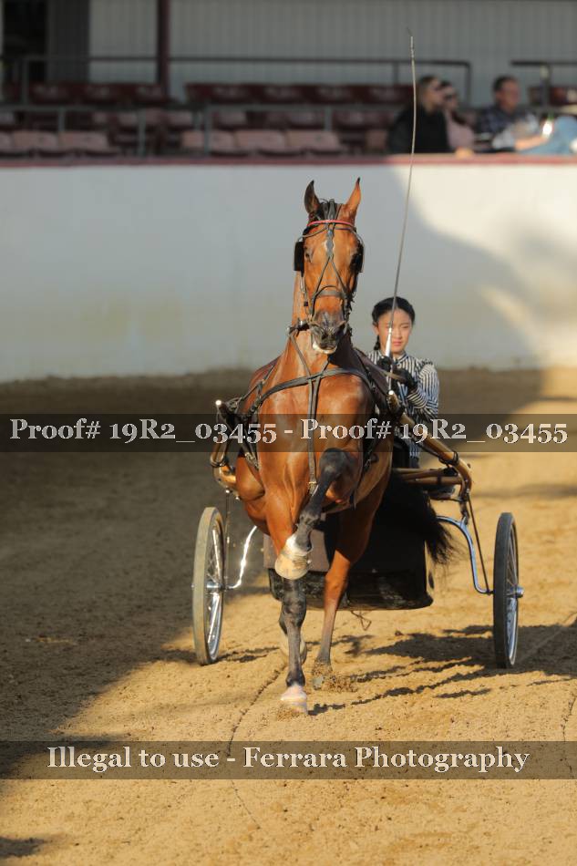 Proof 19R2_03455