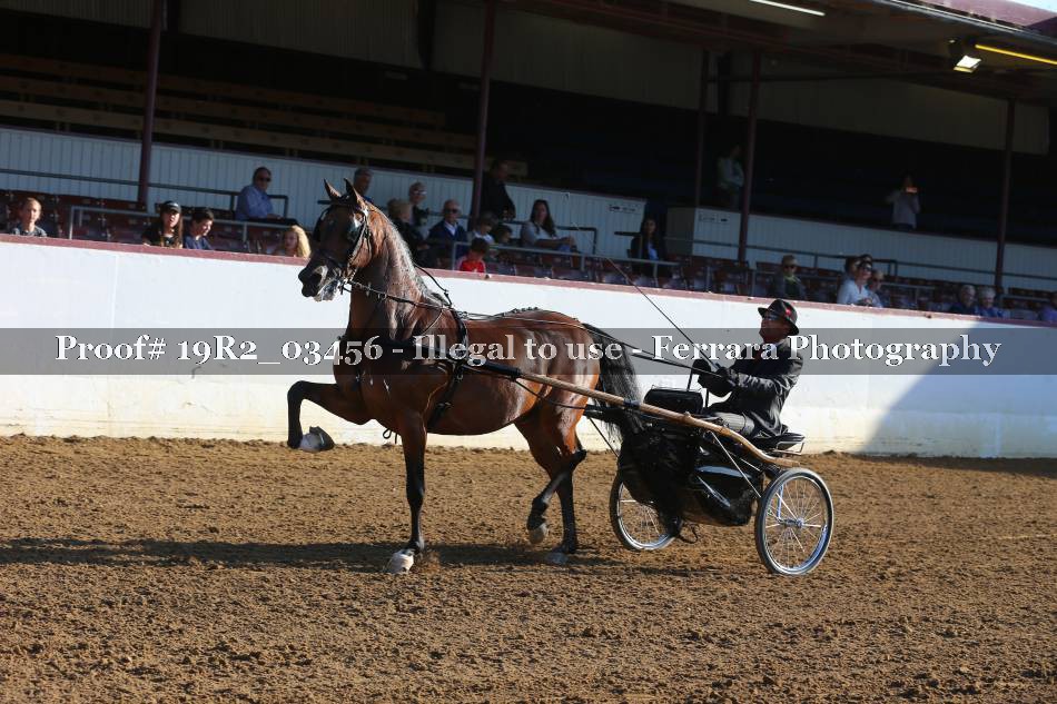 Proof 19R2_03456