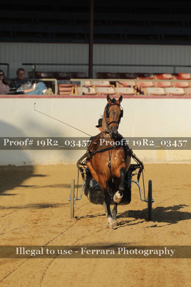 Proof 19R2_03457