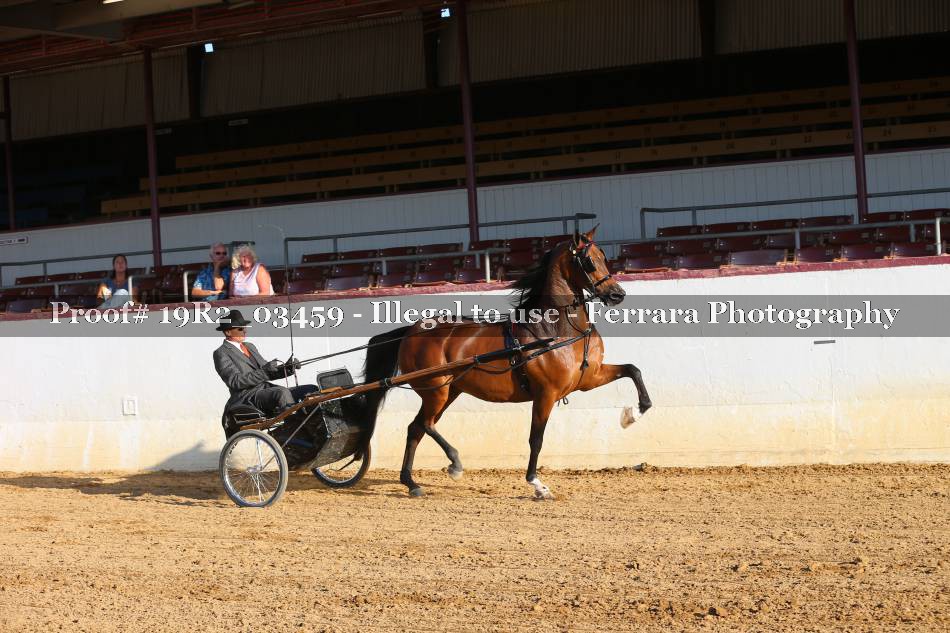 Proof 19R2_03459