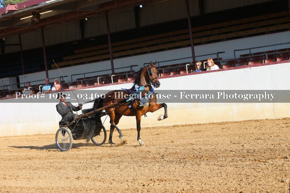 Proof 19R2_03460