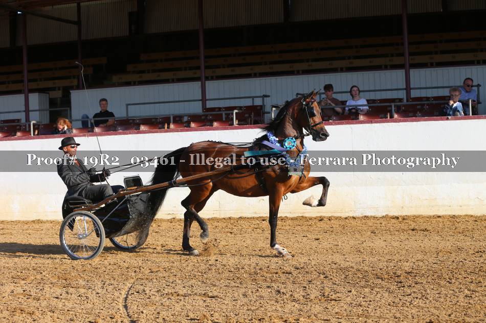 Proof 19R2_03461
