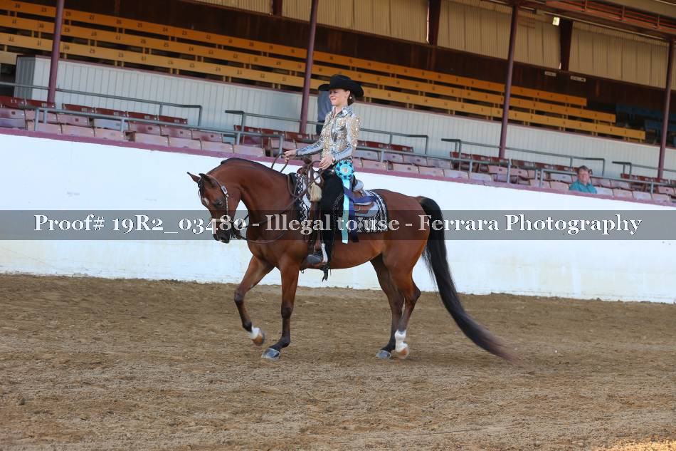 Proof 19R2_03480