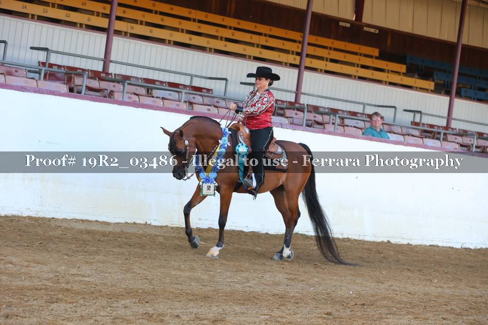 Proof 19R2_03486