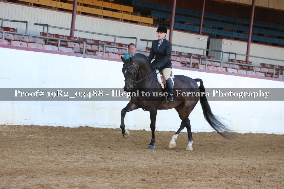 Proof 19R2_03488