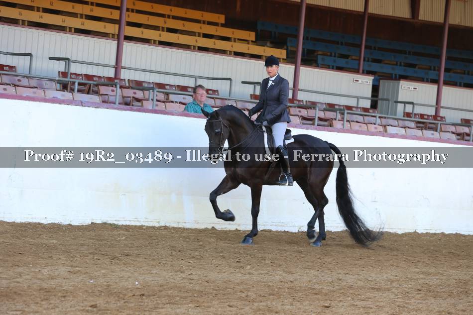 Proof 19R2_03489