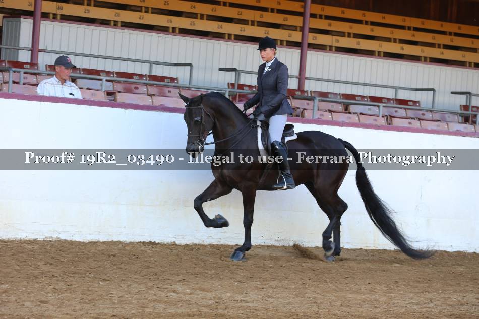 Proof 19R2_03490