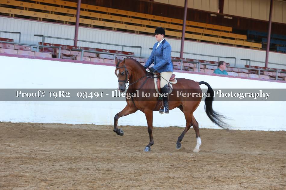 Proof 19R2_03491