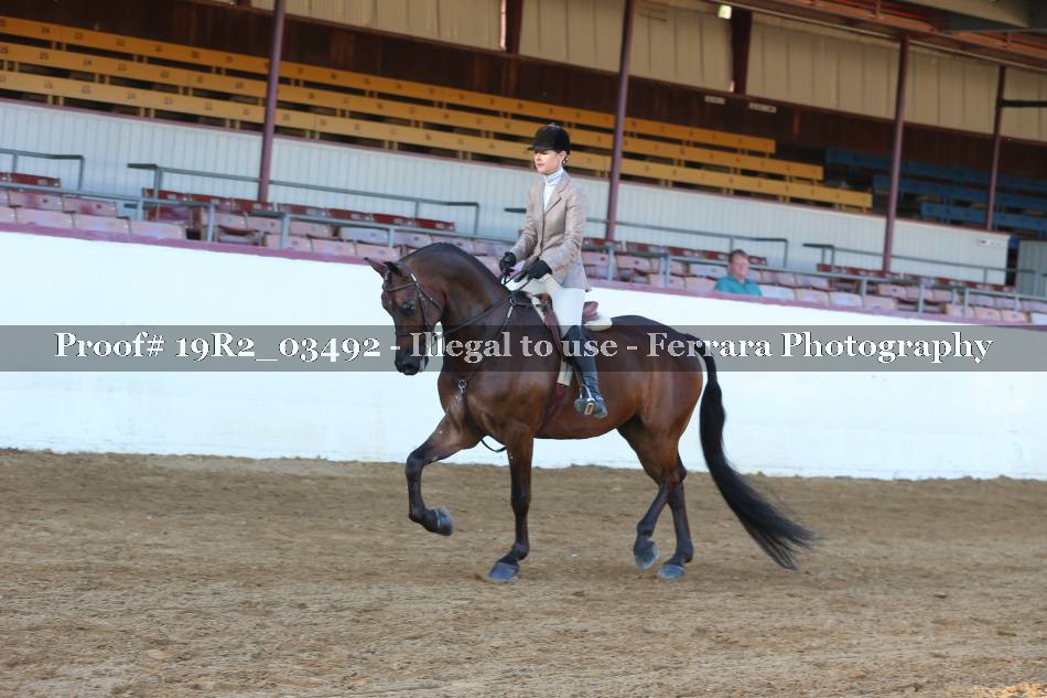 Proof 19R2_03492