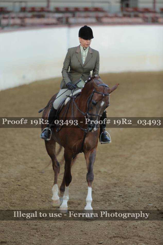 Proof 19R2_03493