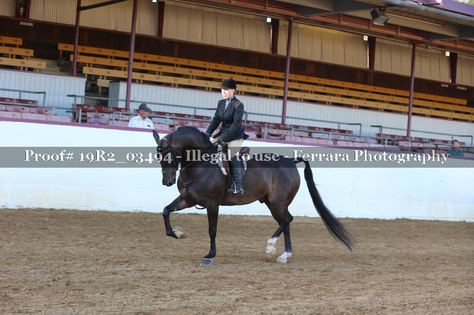 Proof 19R2_03494