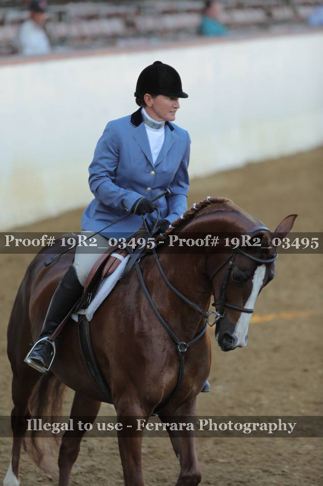 Proof 19R2_03495