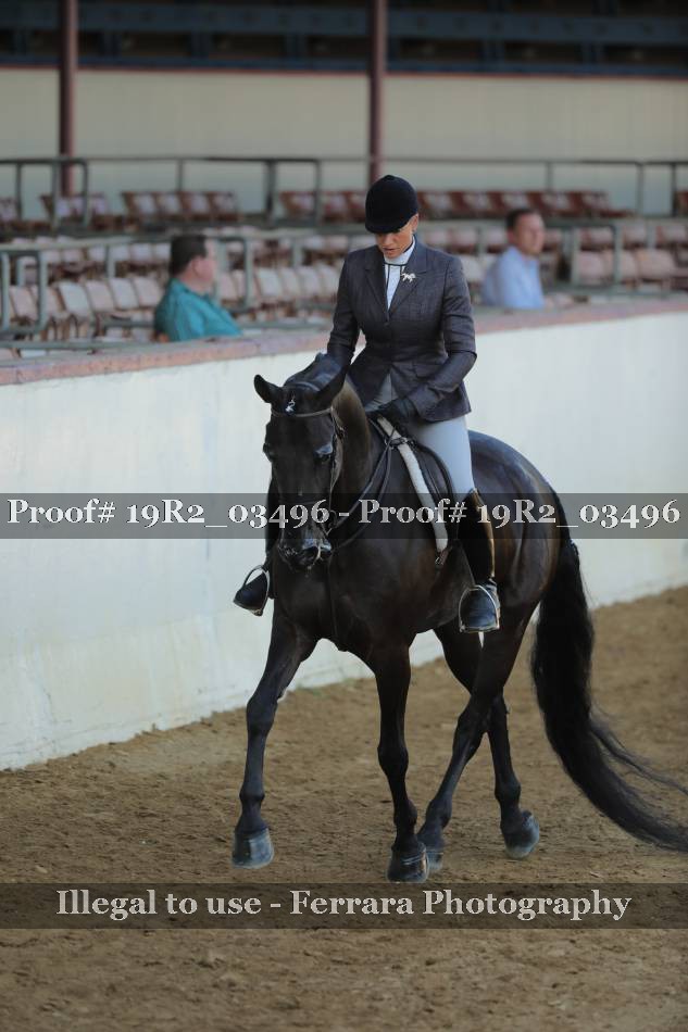 Proof 19R2_03496