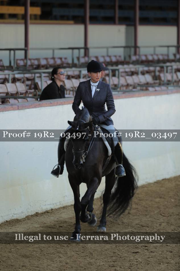 Proof 19R2_03497