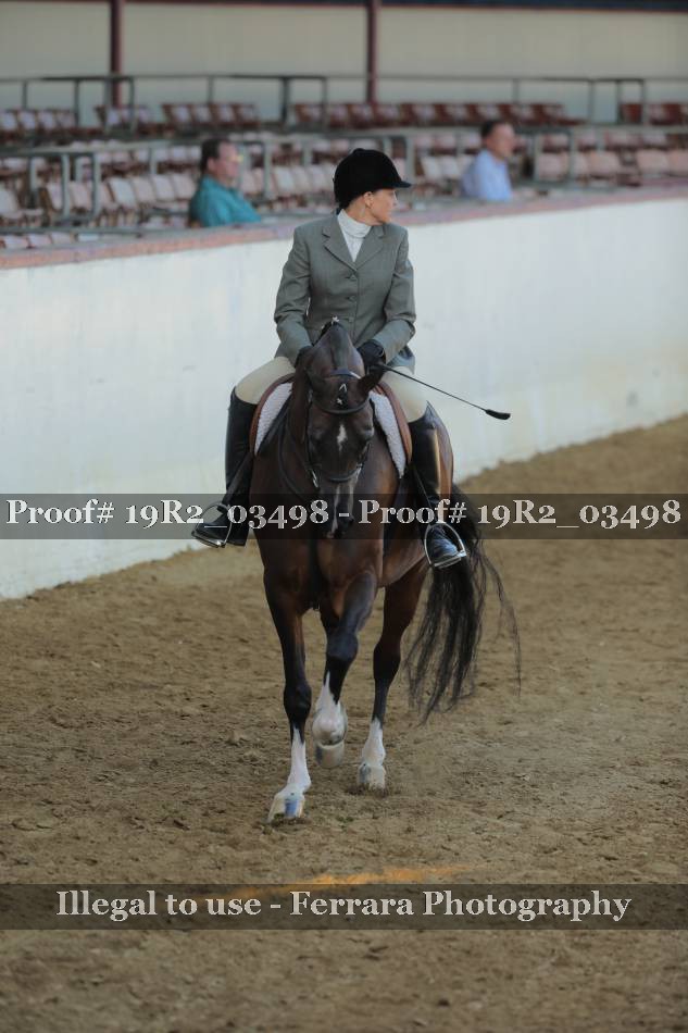 Proof 19R2_03498
