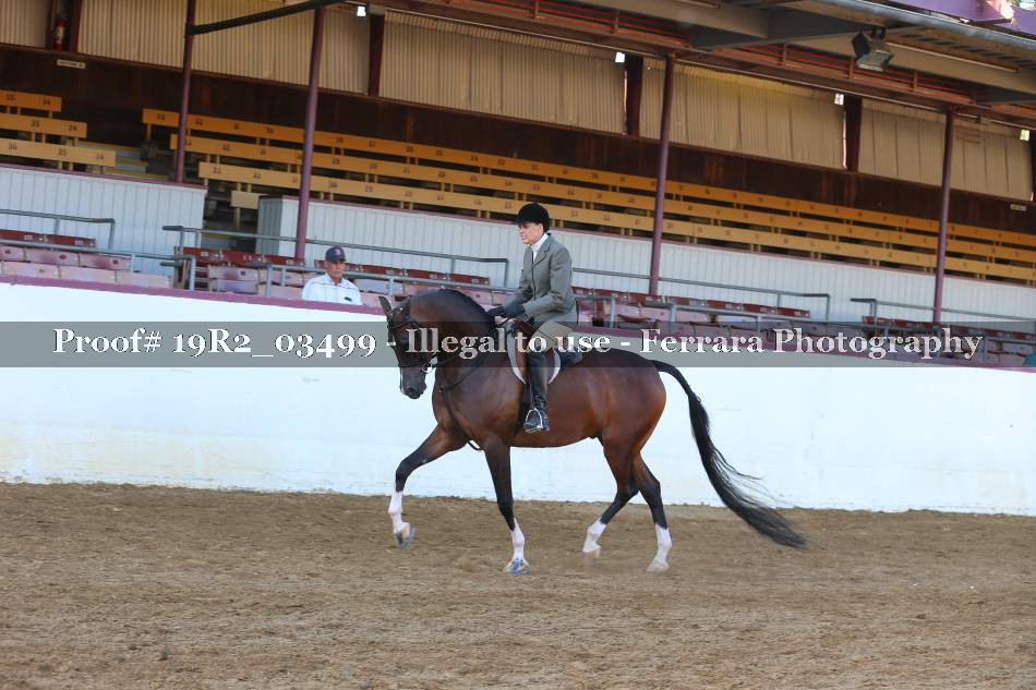 Proof 19R2_03499