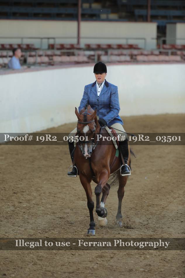 Proof 19R2_03501