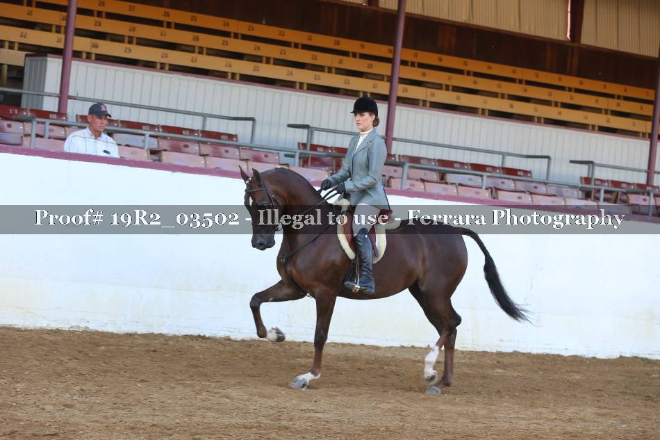 Proof 19R2_03502