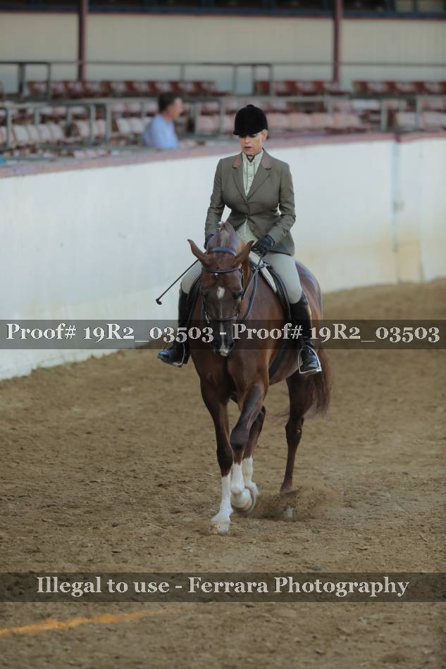 Proof 19R2_03503