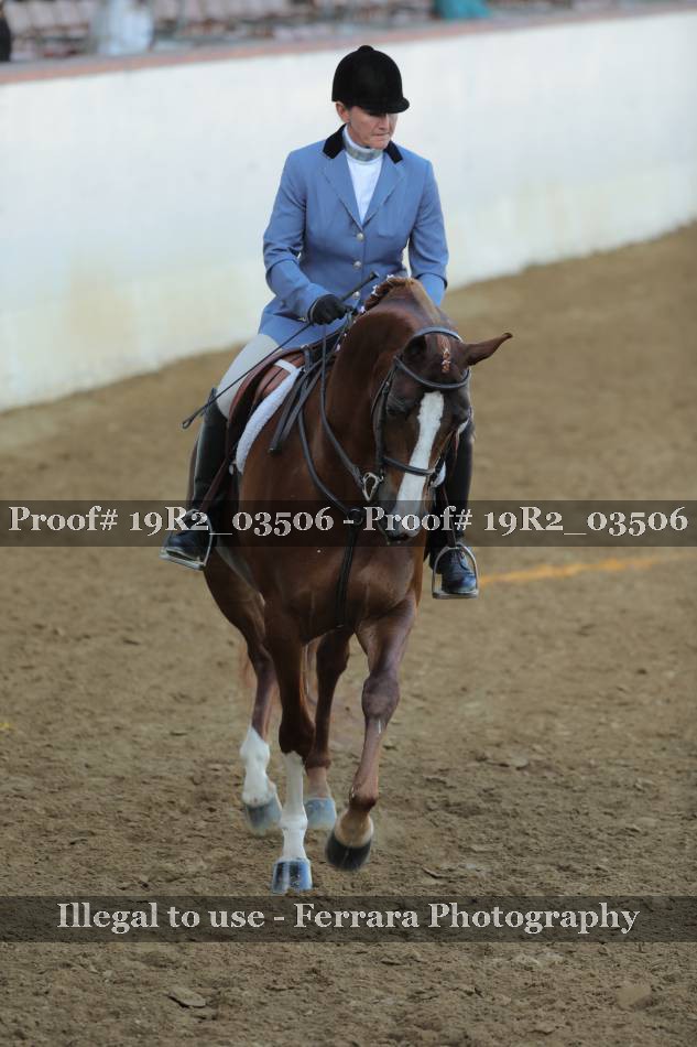 Proof 19R2_03506