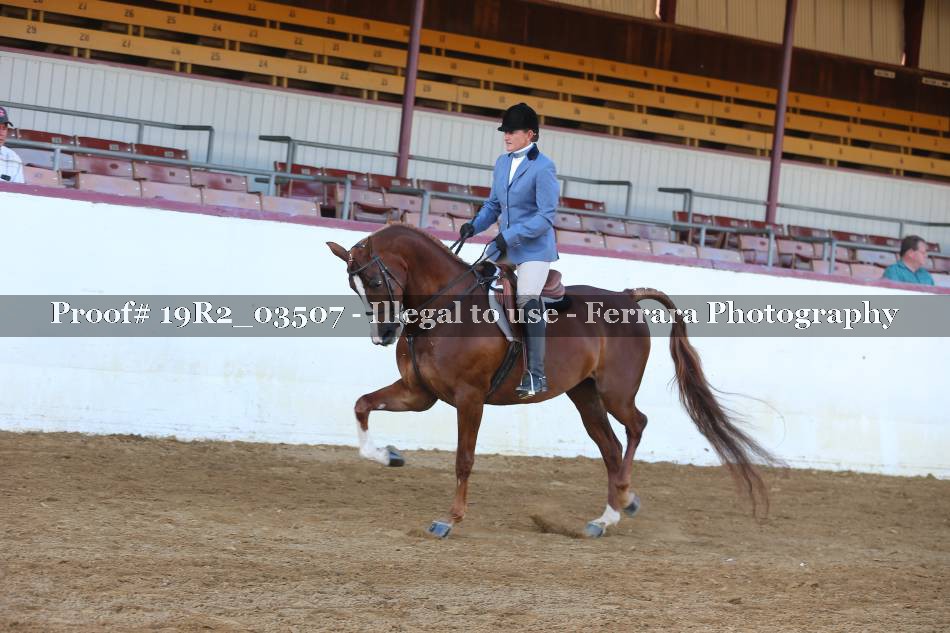 Proof 19R2_03507