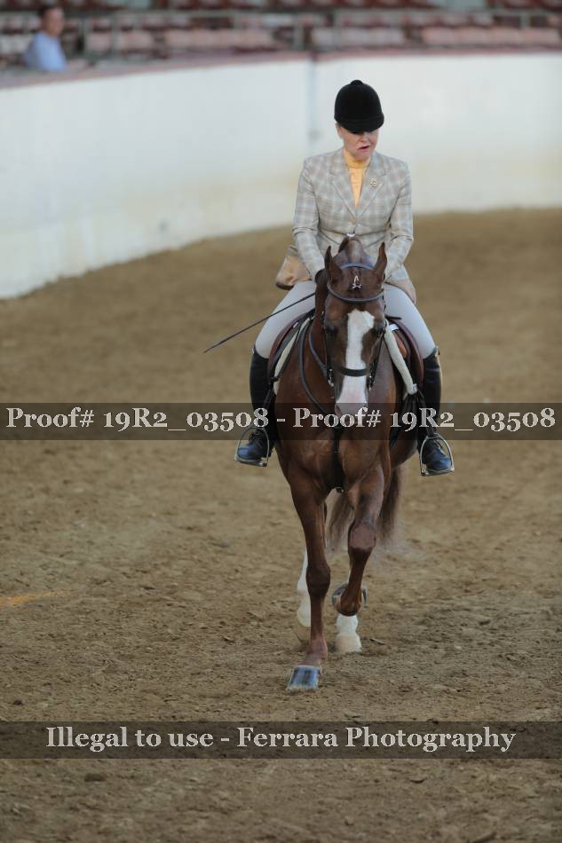 Proof 19R2_03508