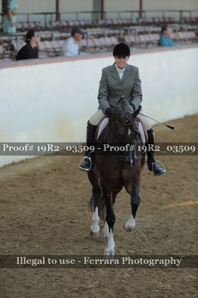 Proof 19R2_03509