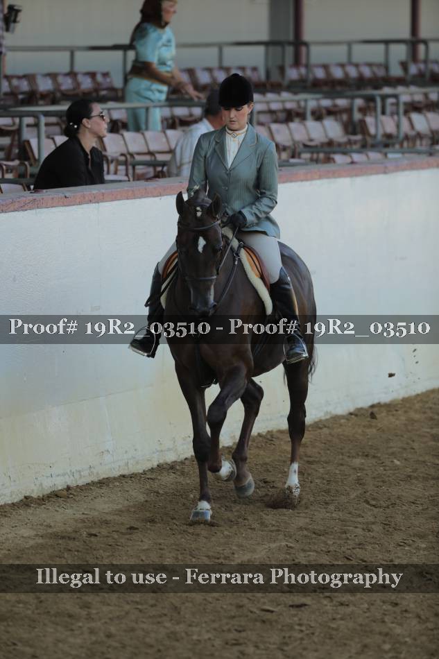 Proof 19R2_03510