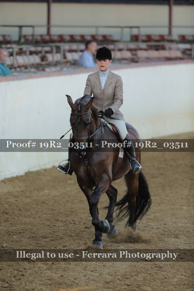 Proof 19R2_03511