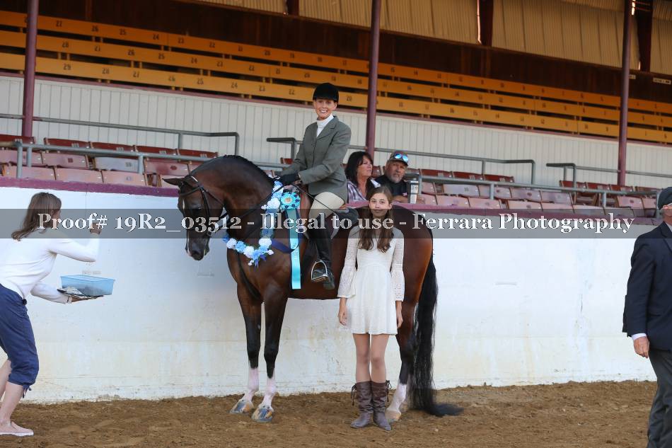 Proof 19R2_03512